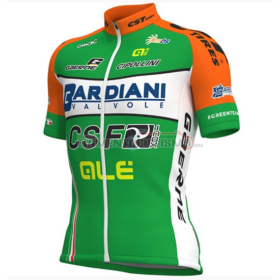 Abbigliamento Ciclismo Bardiani Csf Manica Corta 2018 Verde e Bianco
